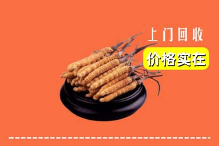 管城区回收冬虫夏草